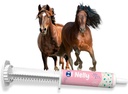 Probiotice de cai (80cc), Paste de cai Pre și Probiotice +Vitamins &Minerals- 4 Tulpini și 8 Miliarde CFU per Serving- Immune și Gastro Health Support pentru Equines