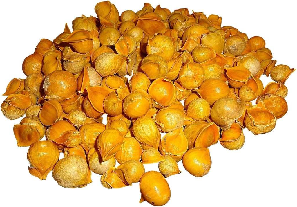 Usturoi japonez/AJO Japones (100% Natural!) Greutate diferite: (1 lb, 5 lbs, și 10 lbs) (5 lbs)