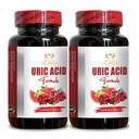 Suport acid URIC - Restaurare comun Comfort, Mobilitate, Flexibilitate, Include cireşe tartă, Chanca Piedra, Extract de telina & Turmeric - 2 sticle 120 capsule