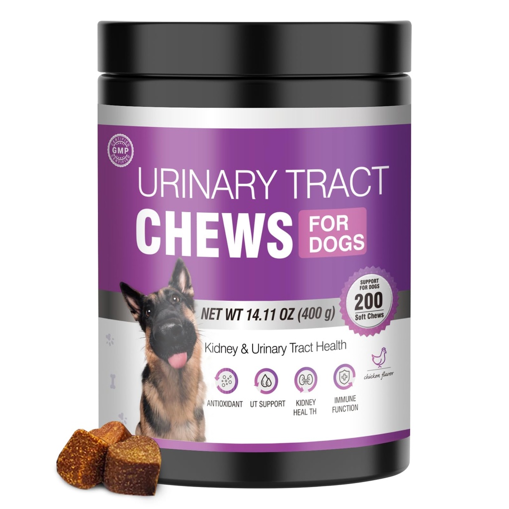Dog UTI tratament Cranberry Suplimentul pentru câini 200 Chews Tract urinar Medicina Bladder Control pastile de sprijin rinichi Cranberrys Extract Bites Puppy UTI Infecție tratează Incontinență Remediu pentru câini
