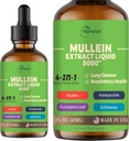 4-in-1 Mullein picături pentru plămâni, Organic Mullein Leaf & Honeysuckle & Eucalyptus Leaf & Echinacea extracts, for Lung Cleanse, Immune & Respiratory Support, Sugar-Free 