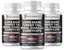 Lions Mane Supliment Cognitive Supplement, Immune Health with Turkey Tail 20in1 Mushroom Reishi Cordyceps Chaga with Marshmallow Root -180 Count
