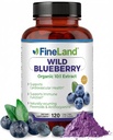 FineLand Wild Blueberry 10:1 Extract, 6.000 mg Putere, 120 capsule Vegane, bogat în Flavonoids & Anthocianins, suport antioxidant pentru creier & Heart Health, 4-Month Supply, Non-GMO Made in USA