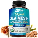 NutriFlair Organic Sea Moss 1600mg, 120 capsule Plus Bladderwrack & Bredock - Prebiotic Super Food - Sistemul imunitar și Digestive Health - Tiroida, Sanatate Skin, Keto Detox, Gut