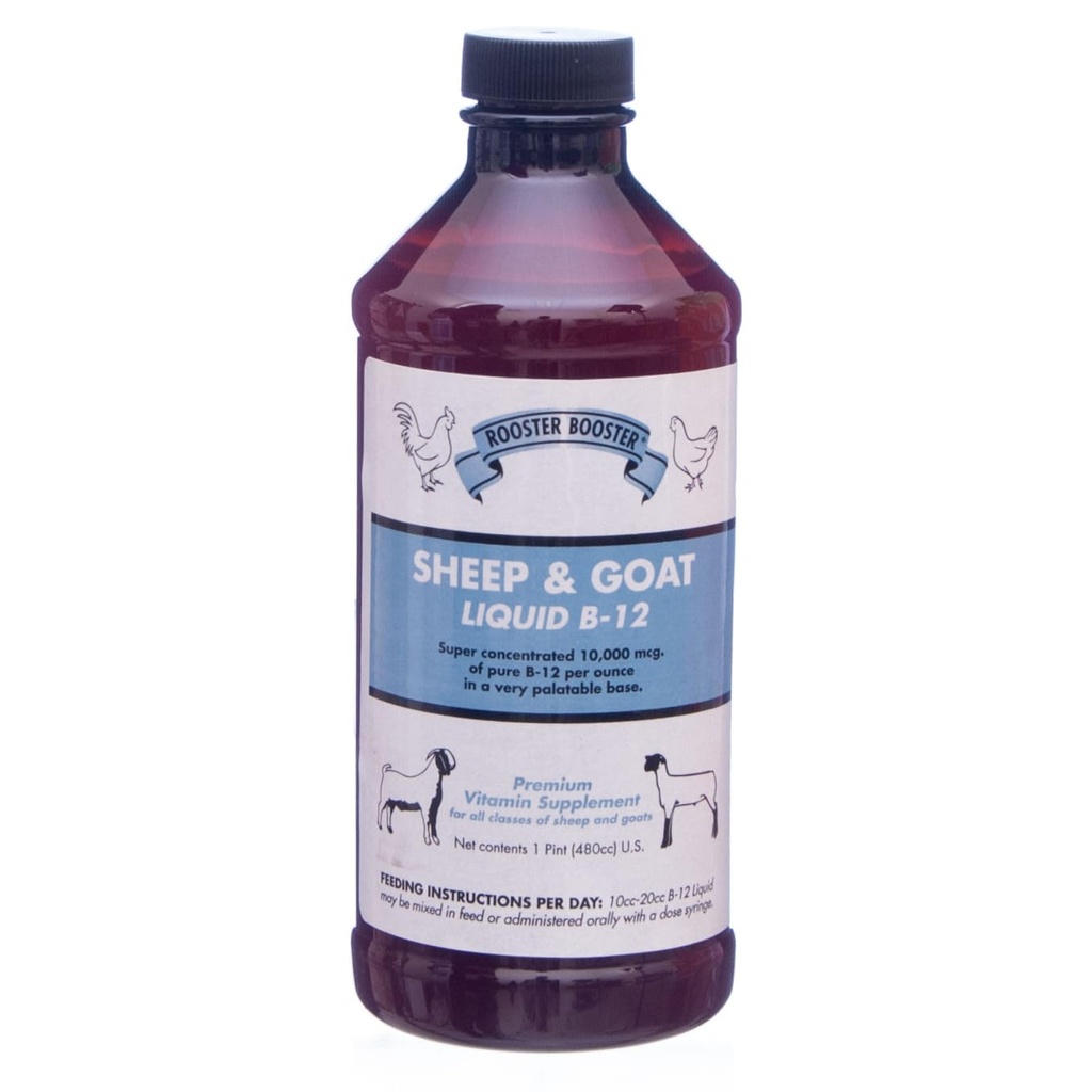 Rooster Booster B-12 Ovine și Capra lichid, 16-Ounce
