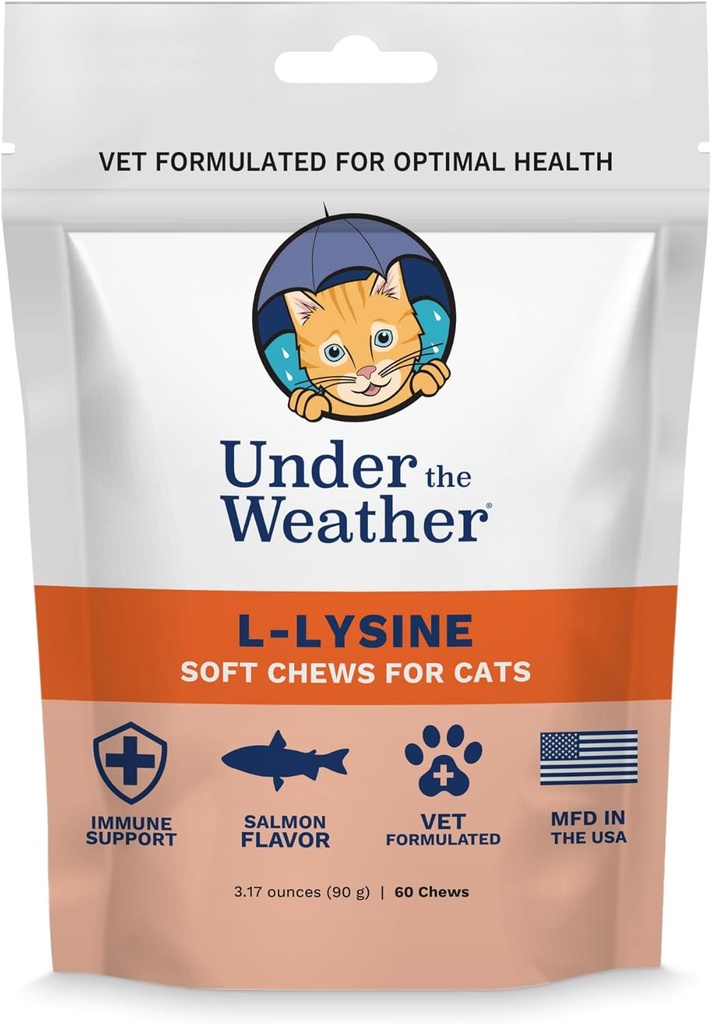 Sub vremea Pet Daily Cat L-Lysine 