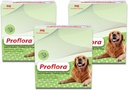 Probiotic pentru câini - Digestie sanatoasa - Boost Sistemul imunitar - Functia normala a intestinului - Skin and Coat Health - Supliment pentru GI Tract - 90 Servings, 3-Pack