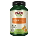 Acum Pet Health, L-Lysine Supliment, Pulbere, Formulat pentru pisici, NASC Certified, 8-Ounce