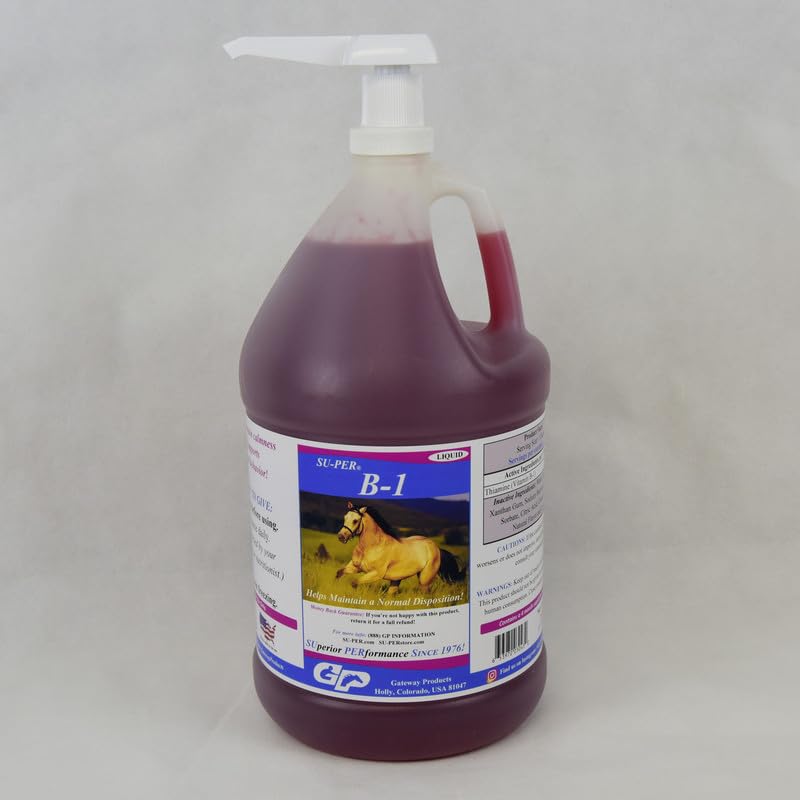SU-PER B-1 Cai Supliment de calmare - Equine Vitamina B-1 Suport Cal Calmant lichid - Apetit Booster Supliment pentru Cai - 1 Gallon + Pompă, 4 luni de aprovizionare