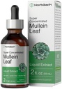 Horbäach Mullein Extract picături de frunze 
