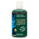 Naturas Plus Ultra Rx-Joint Liquid, Honey Lemon - 30 fl oz - Suportă funcția comună sănătoasă - cu Glucosamină, Chondroitin & MSM - Gluten Free - 30 Serviri