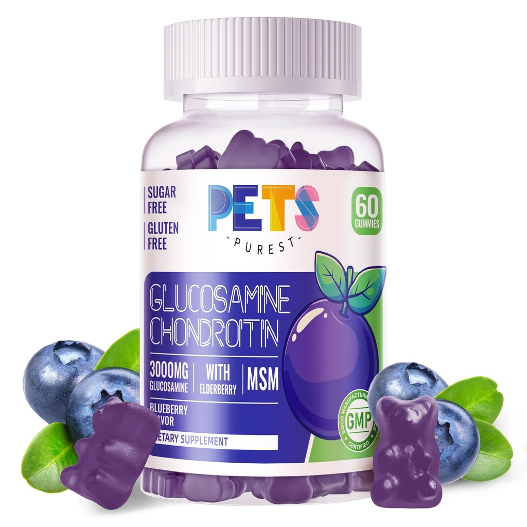 Animale de companie Purest Glucosamină Chondroitin Gumies cu MSM & Elderberry Extra Putere - Suport comun, Supplement de sprijin imun antioxidant pentru adulți, Bărbați și femei.60 Gume de afine
