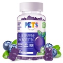 Animale de companie Purest Glucosamină Chondroitin Gumies cu MSM & Elderberry Extra Putere - Suport comun, Supplement de sprijin imun antioxidant pentru adulți, Bărbați și femei.60 Gume de afine