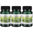 Swanson Black Ginger Extract - Promoveaza circulatia sanatoasa a sangelui si vigorul fizic - poate ajuta sanatatea inimii, tesut muscular si bunastarea mentala - (30 Capsule vegetale, 100 mg fiecare) (3 ambalaj)