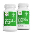 Terry Natural Stomac & Ajutor intestinal - Supliment pentru a ajuta Digestive Health & Intestinal Lining - SIDA împotriva Ocazional Digestive Disconfort la Soothe Stomac - 60 Capsule (2 ambalaj)