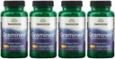 Swanson Putere maximă Graminex Flower Polen Extract - Suporturi Prostate Sănătate, Funcţia de tract urinar şi Rinichi - Mens Health Supplement - (60 capsule, 500 mg fiecare) (4 ambalaj)