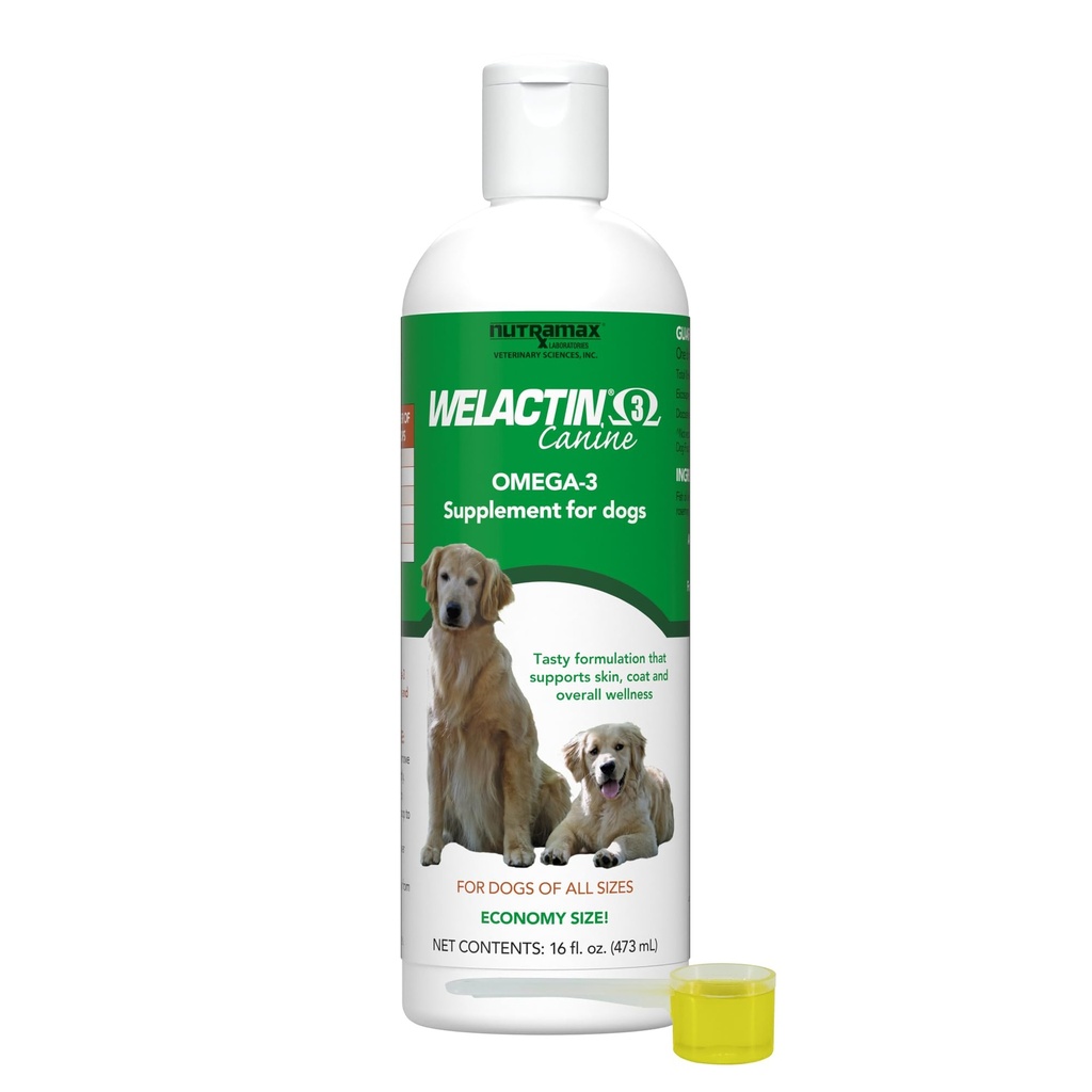 Nutramax Welactin Omega 3 Ulei de pește pentru câini, Skin and Coat Health Supplement, Plus Joint, Imun, Rinichi și Brain Support, Premium Omega 3 acizi grasi, Pentru câini de toate dimensiunile, 16 Once lichid (3 Pk)