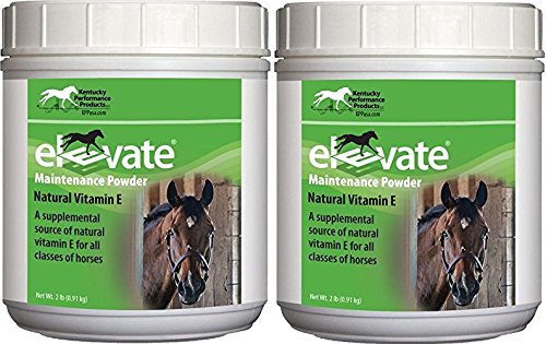 Kentucky Performance Products 2 Pachet de putere de întreținere ridicată, 2 Lire fiecare, naturale vitamina E cai Supliment