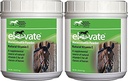 Kentucky Performance Products 2 Pachet de putere de întreținere ridicată, 2 Lire fiecare, naturale vitamina E cai Supliment