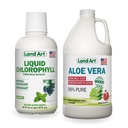 Land Art Aloe Vera Juice - Rodii aromate - Procesate la rece - File interior din frunze proaspete organice - 64floz + Clorofila lichida - menta la rece extrasa din salbatice non-GMO Alfalfa - 16floz