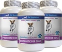 Diaree de câine bun și bun - PROBIOTICS pentru câini - Sanatos Gut - Stop diaree de gaze si respiratie proasta - Boost digestiv - Probiotice câine - 3 sticle (180 tratează)