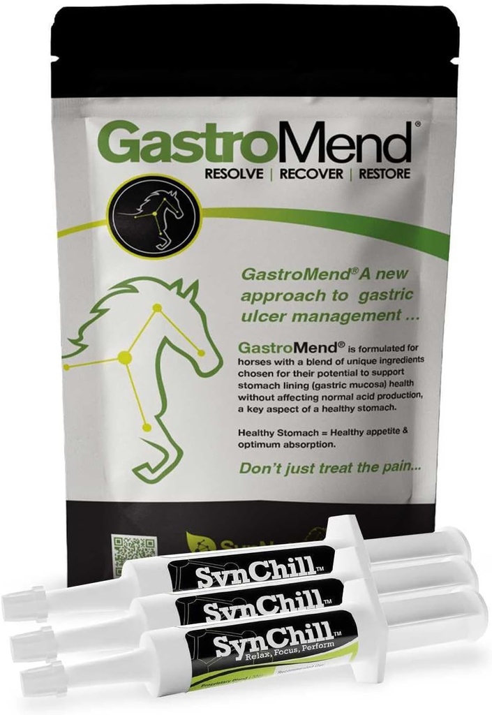 SynChill 3 Pack + GastroMend Bundle pentru cai - Stomac cuprinzător de sănătate și suport comportamental, SIDA în relief Ulcer gastric, promovează calmul și concentrarea, toate naturale, costuri eficiente