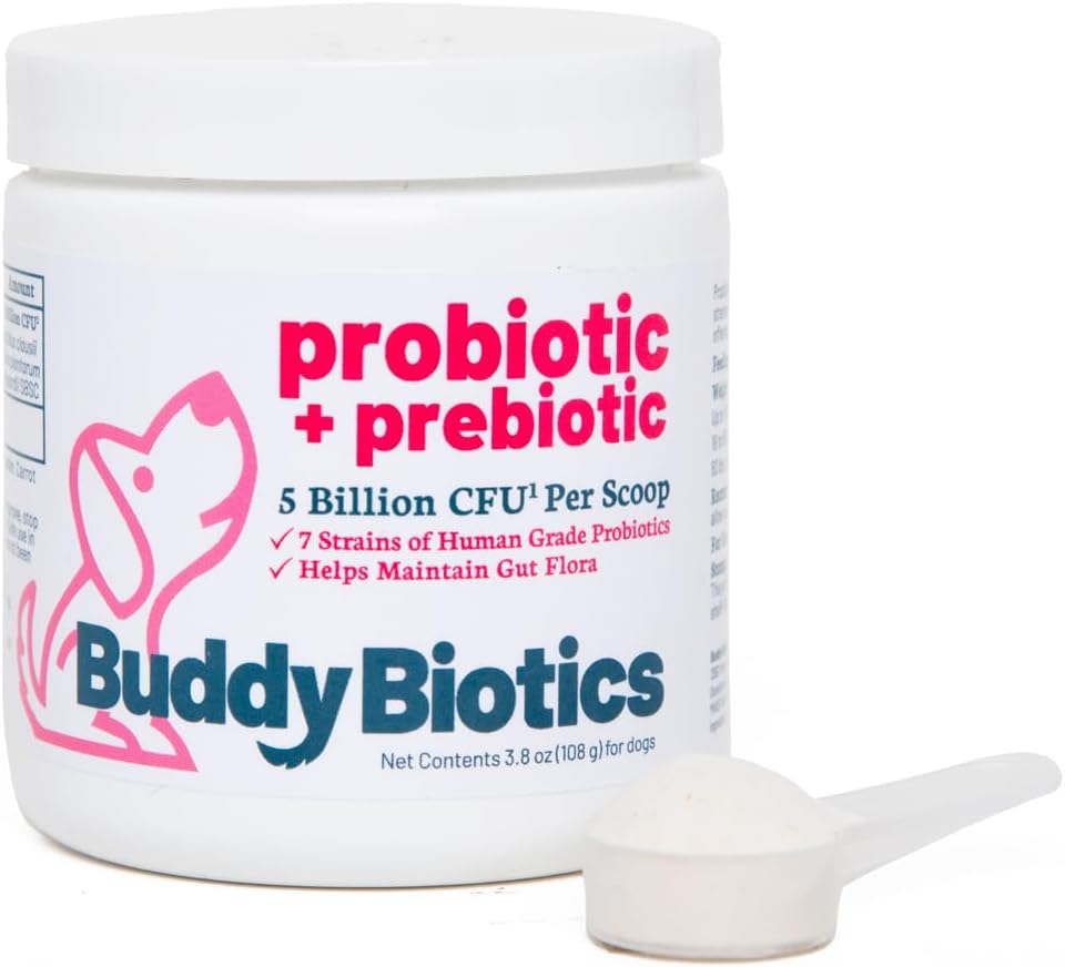 Buddy Biotics Probiotic + Prebiotic pentru câini- Flora Sanatate Gut, Digestive si Immune Health, Diaree si suport Bowel 5 miliarde CFU per Scoop