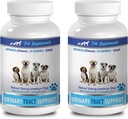 caine incontinenta vezicii urinare masticabile - DOG URINAR TRACT SUSŢINUT - Natural CRANBERY SOLUŢIE - BLADDER SANATATE - VET RECOMANDAT - câine extract de afine - 2 flacon (180 de tratamente)