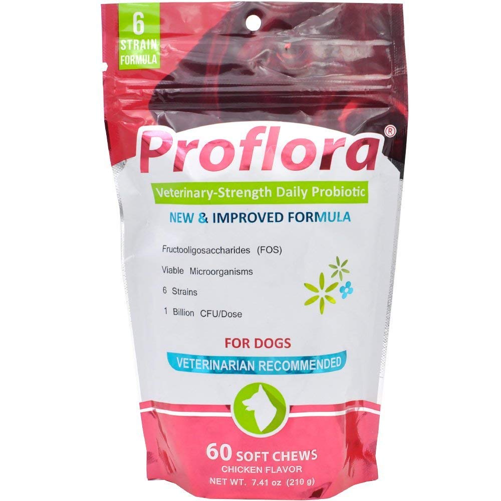 Probiotice pentru câini-Complete Gut Health & Imunum Support. Ușor de utilizat Probiotice Digestive Multi-Tren. Linie mai uşoară Tranziţii, Piele mai sănătoasă & Coat & ajută la tratarea diareei. 60 Chews moi