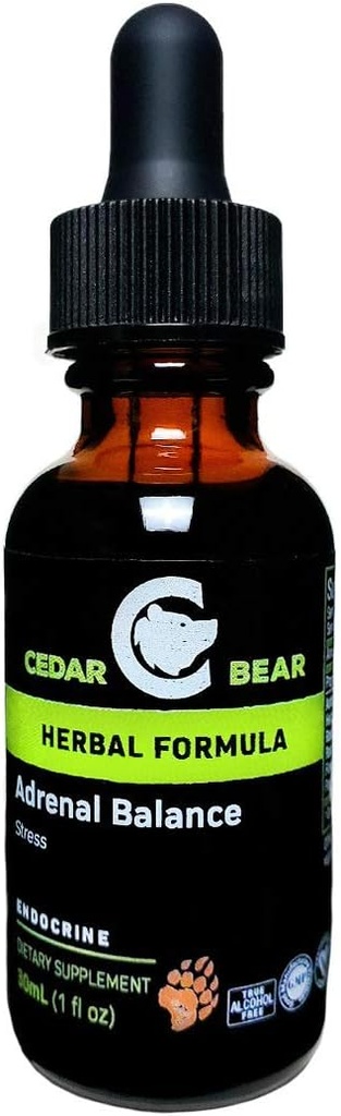 Cedar Bear Echilibrul adrenal - supliment vegetal lichid cu Adaptogens care lupta împotriva oboselii, gestionarea stresului și creșterea energiei 1 fl oz / 30 ml