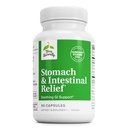 Terry natural stomac si ajutor intestinal - Supliment pentru a ajuta Digestive Health & Intestinal Lining - SIDA împotriva ocazional Digestive Disfort la Soothe Stomac - 60 capsule