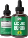 Supliment Bor lichid pentru bărbaţi şi femei. Mined in the USA. Vegan + Ionic Urme picături minerale cu biodisponibilitatea mare pentru Bone, sănătate comună. Zero zahăr, fără gust amar. Suplimente complexe Bor