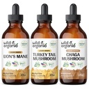 Coamă de leu sălbatic și organic, Coajă de curcan și ciucuri de ciuperci Chaga