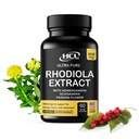 Rhodiola Rosea Supliment Extract de mare potenta 500mg - 3% Rosavins 1% Salidrosides cu Ashwagandha Shisandra Floare Pudră de plante capsule - Natural mod de a elimina stresul - pastile pentru energie