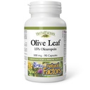 HerbalFactors by Natural Factors, Olive Leaf 500 mg, Natural Wellness Formula, 90 Capsule