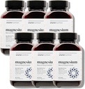 Complex de magneziu nutriţional mai inteligent - Glicinat de magneziu Chelate + Citrate, Malat pentru somn, Relaxare, Muşchi & Nervi + Tabletă L-Theanină dovedit clinic, Non-GMO-360[180-Day Supply]