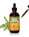 Herb Pharm Chanca Piedra Extract lichid pentru suport sistem urinar - 4 Ounce