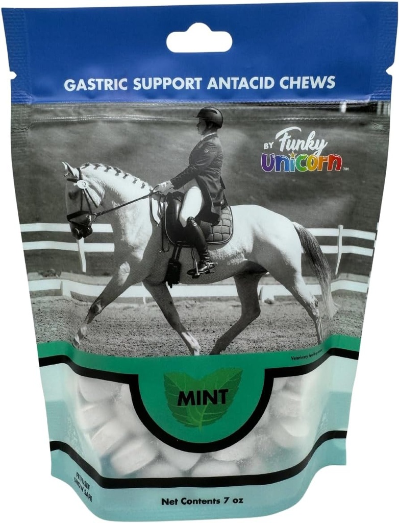 Funky Unicorn Gastic Chews - aroma MINT