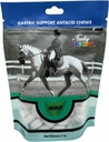 Funky Unicorn Gastic Chews - aroma MINT
