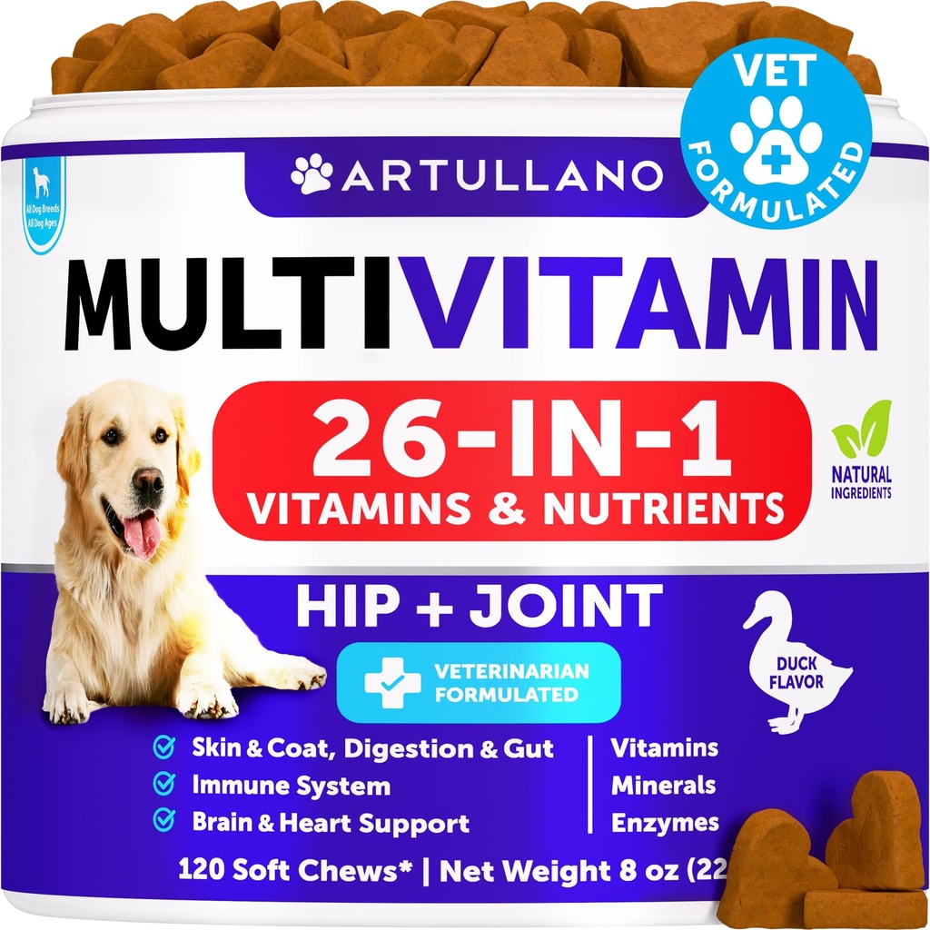 Câine Multivitamine Chemable cu Glucosamină 26 în 1 - Vitamine de câine și suplimente - Senior & Puppy Multivitamine pentru câini - Pet Joint Support Health - Imunitate, Mobilitate, Piele de Gut - 120 Chews
