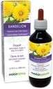 Naturalma Dandelion (Taraxacum officinale) Root and herb Alcool-Free Tincture - 6,76 fl oz Extract lichid în picături - Herbal Supplement - Vegan
