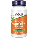ACUM alimente Suplimente, Stinging Nettle root extract (Urtica dioica) 250 mg, suporta prostata sanatate*, 90 Veg capsule