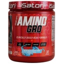 iSatori Amino-GRO BCAA Powder, Aminoacidi lant ramificati cu glutamina, Powder Electrolit & Bio-GRO Bio-Active Peptide pentru cresterea musculara si recuperarea post-antrenamentului, Blue Razz Snow Cone (30 Servings)
