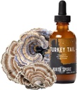 Nord Spore Organic Turkey Confirmat pentru potenta Tail Tincture 