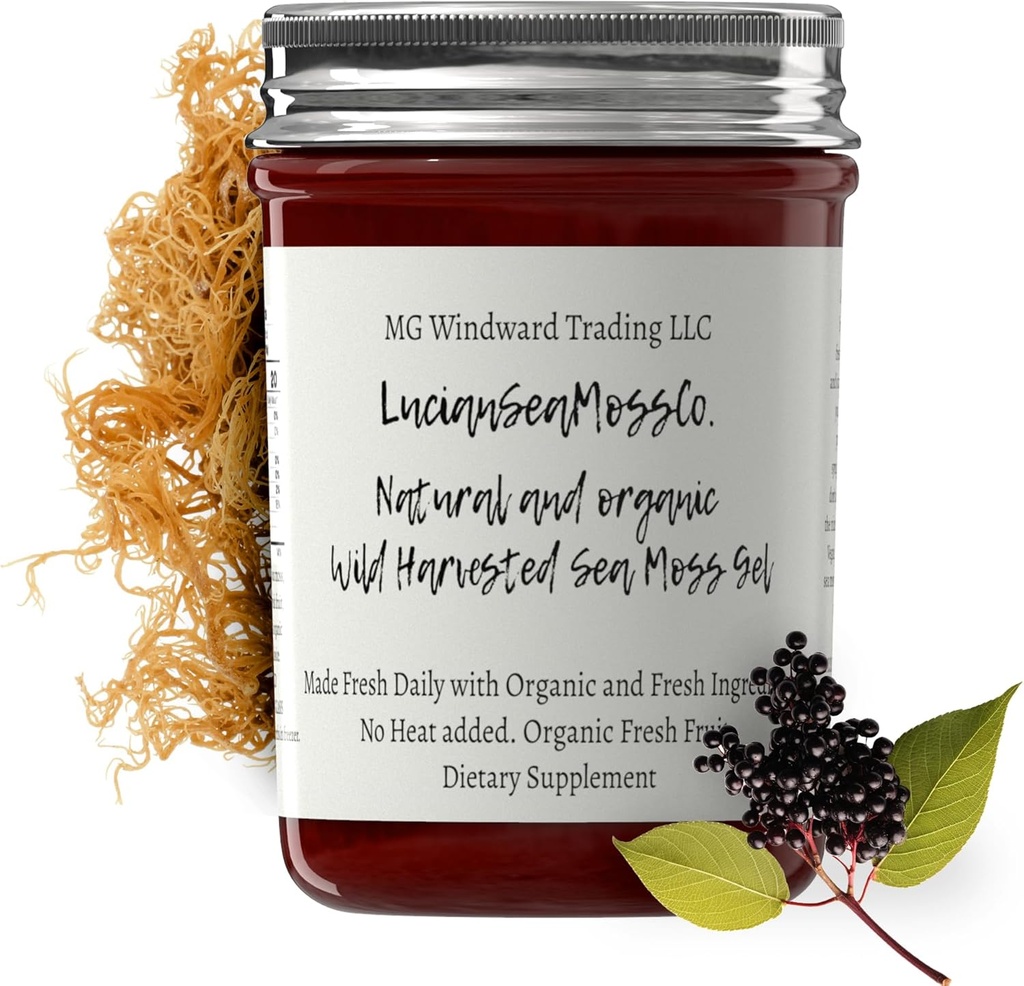 Dr. Sebi Inspirat Alkaline Organic Fresh Elderberry Ginger Sea Moss Gel - Vitamine Naturale esențiale, Minerale Plus Antioxidanți Wild recoltat din Saint Lucia (8 oz.)