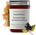 Dr. Sebi Inspirat Alkaline Organic Fresh Elderberry Ginger Sea Moss Gel - Vitamine Naturale esențiale, Minerale Plus Antioxidanți Wild recoltat din Saint Lucia (8 oz.)