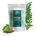 Moringa frunze praf Oleifera frunze Shigru mare în băuturi și piureuri 16 Once