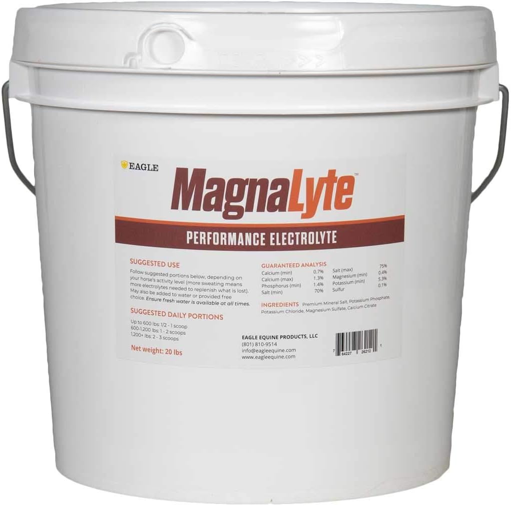 MagnaLyte Loose Salt și Electroliti pentru cai de Eagle Ehaine 
