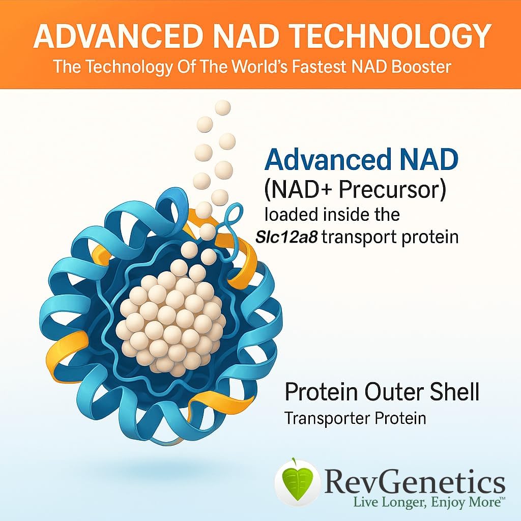 REVGENETICI Supliment avansat NAD+, 60 capsule - Supliment alimentar pentru imbatranire sanatoasa si longevitate