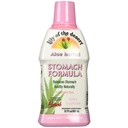 Lily of The Desert Stomac Formula, Organic Aloe Vera suc cu Elm alunecos, Mușețel, Mentă și Ginger pentru Sănătate Gut, Acid Reflux, Arsuri la stomac, 32 Oz